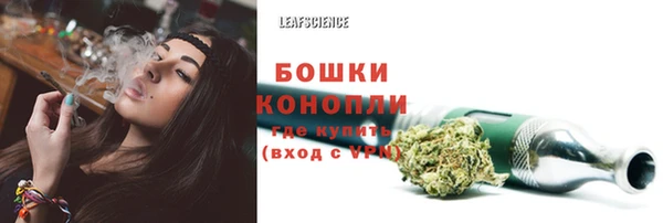 спайс Надым