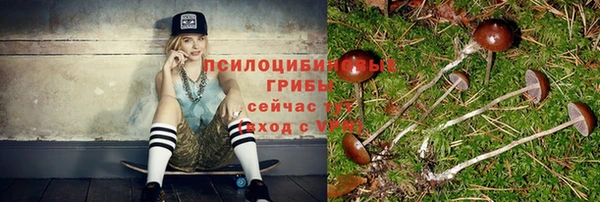 не бодяженный Алзамай