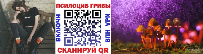 Псилоцибиновые грибы Cubensis  Обоянь 